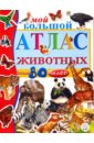 http://img.labirint.ru/images/books5/157926/small.jpg