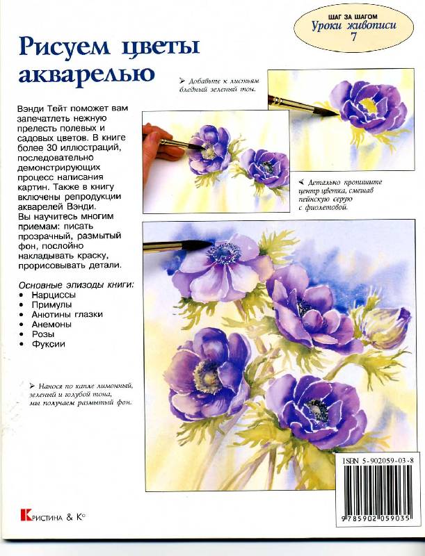 Рисуем цветы акварелью по схемам Рисуем цветы акварелью по схемам