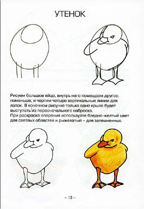 Как нарисовать утку поэтапно детям Как нарисовать утку поэтапно детям