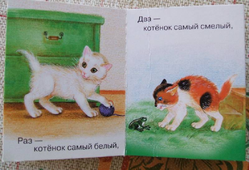 Котята стих с картинками Котята стих с картинками