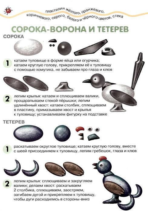 Лепка поэтапно птицы Лепка поэтапно птицы
