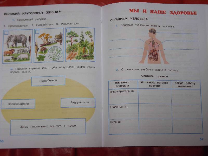 Презентация а де сент экзюпери маленький принц