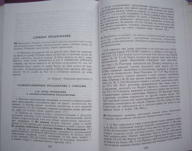 Сенина Итоговое Выпускное Сочинение