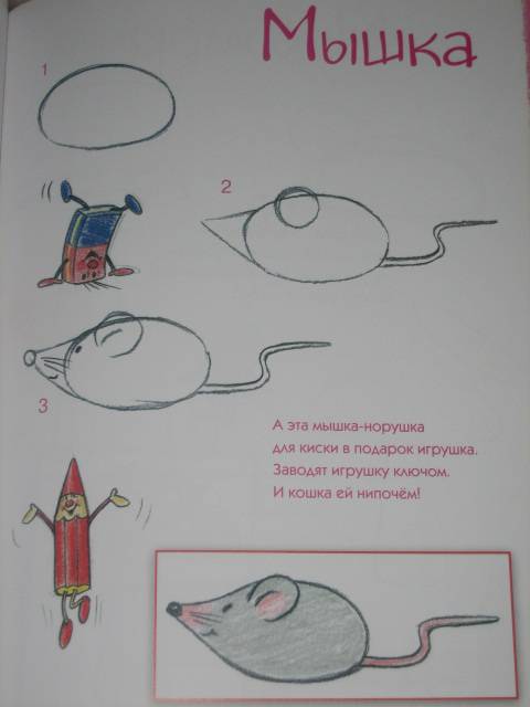Как поэтапно рисовать мышку Как поэтапно рисовать мышку