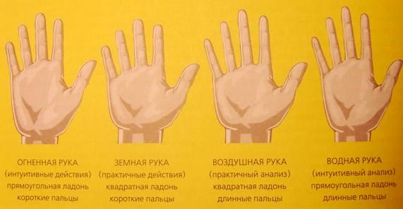 Узнать свою будущую профессия по рукам Узнать свою будущую профессия по рукам