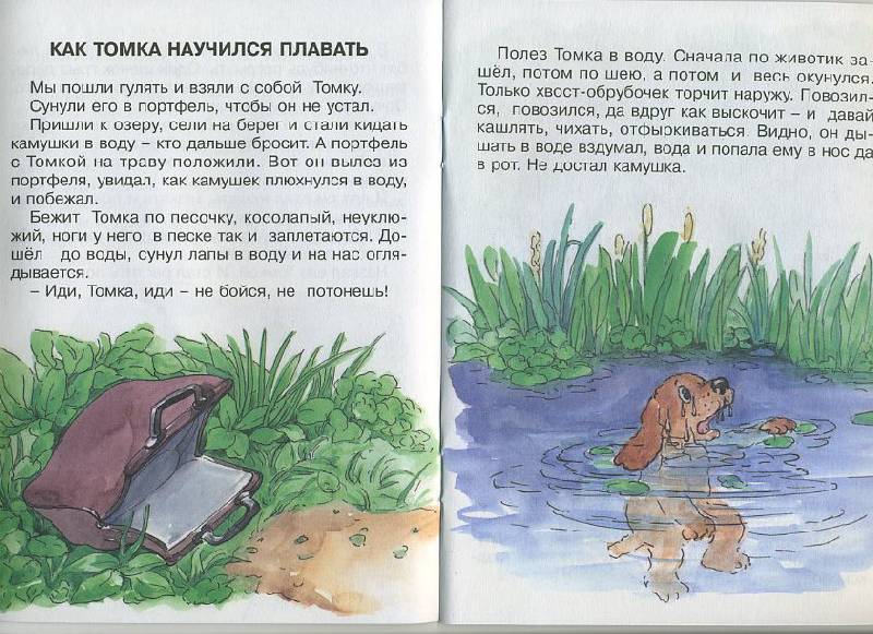 Пословица к рассказу томка Пословица к рассказу томка