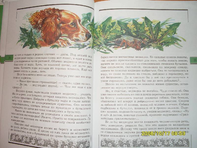 Скачать книгу андрея плешакова великан на поляне