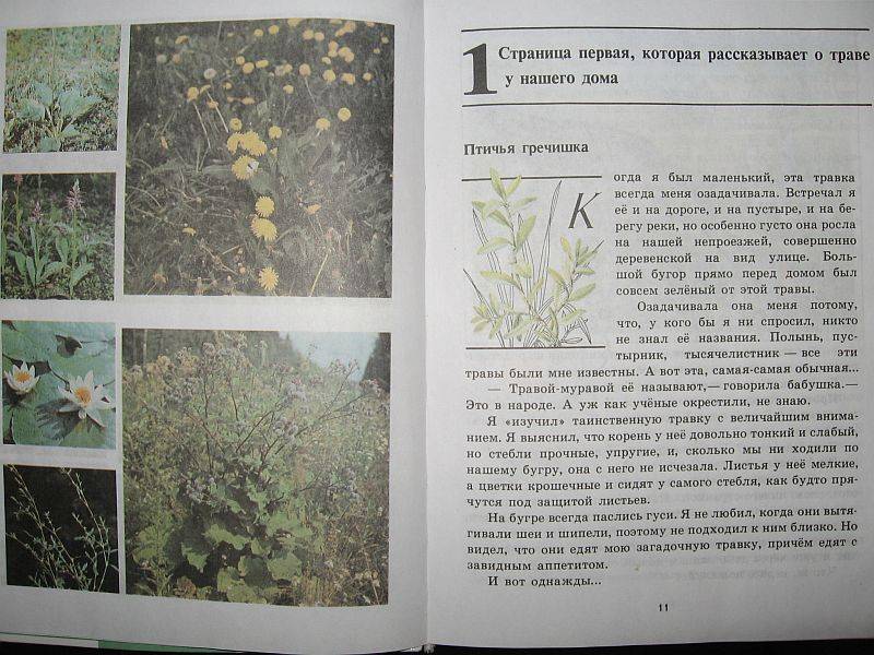 The hunger games читать онлайн