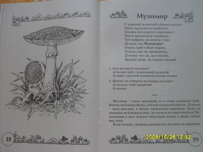 Стих мама и грибами Стих мама и грибами