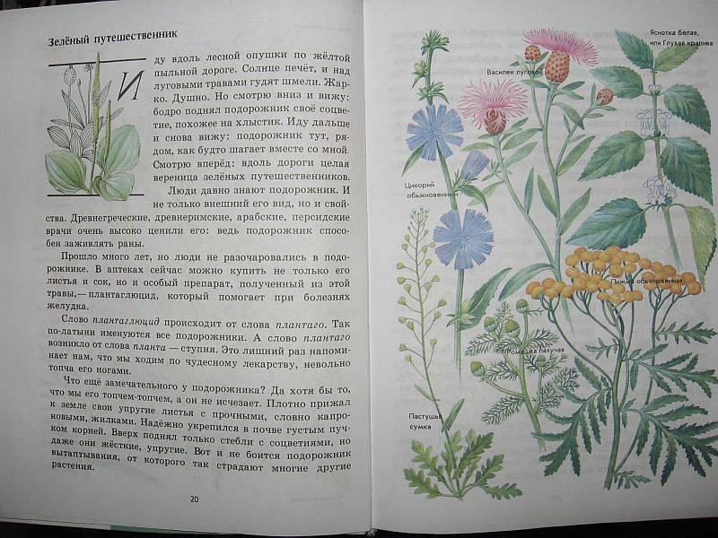 Книга про оружие читать с картинками