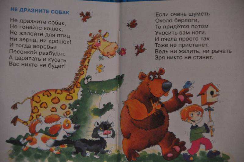 Не дразни меня стих Не дразни меня стих