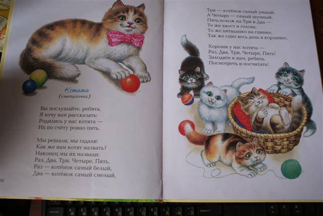 У меня жил кошка стих У меня жил кошка стих