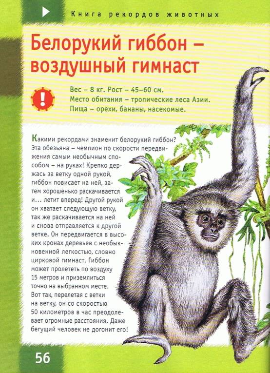 Иллюстрация 9 к книге Книга рекордов животных, фотография
