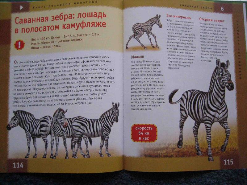 Иллюстрация 7 к книге Книга рекордов животных, фотография