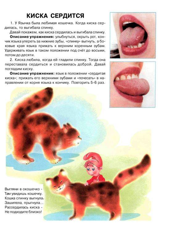 Лото для дошкольников Лото для дошкольников