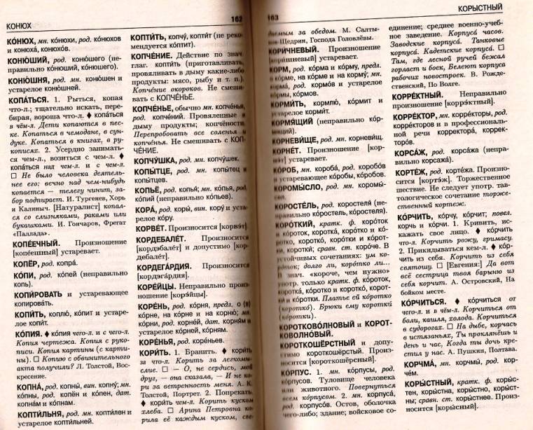 Словарь Современного Русского Литературного Языка Читать