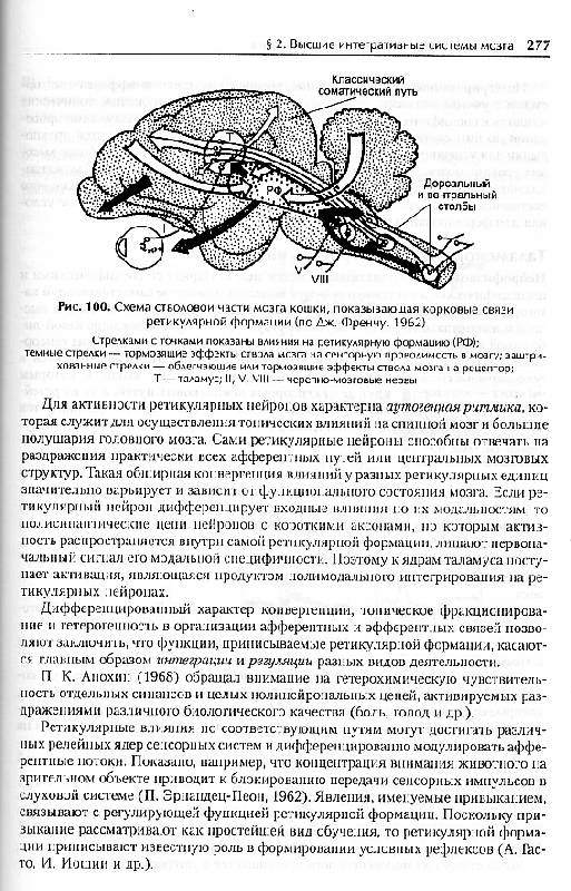 Анатомия Синельников Том 1