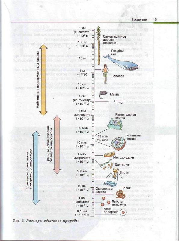 Гдз по Биологии 9 Класс Каменский 2007 Год