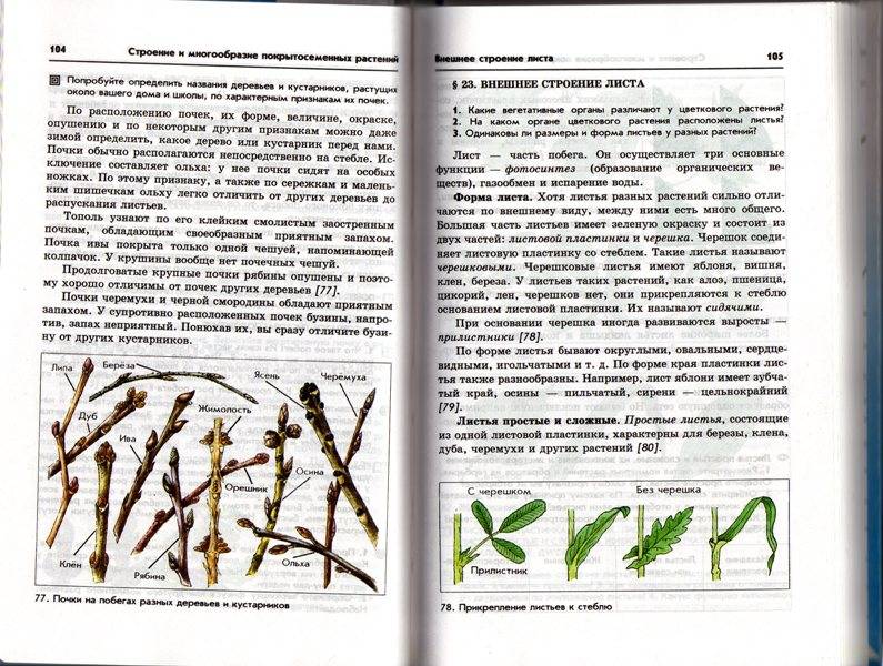 Кожина казакевич программа по технологии планирование