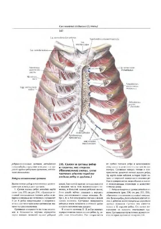 view diskrete mathematik