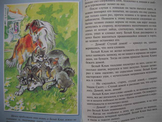 Рисунки по книги белый к Рисунки по книги белый к