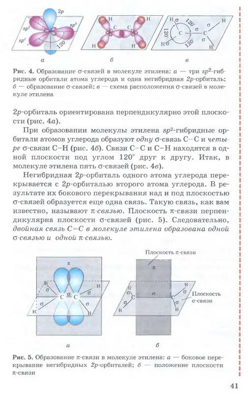 Сорока цюпа история 11 класс