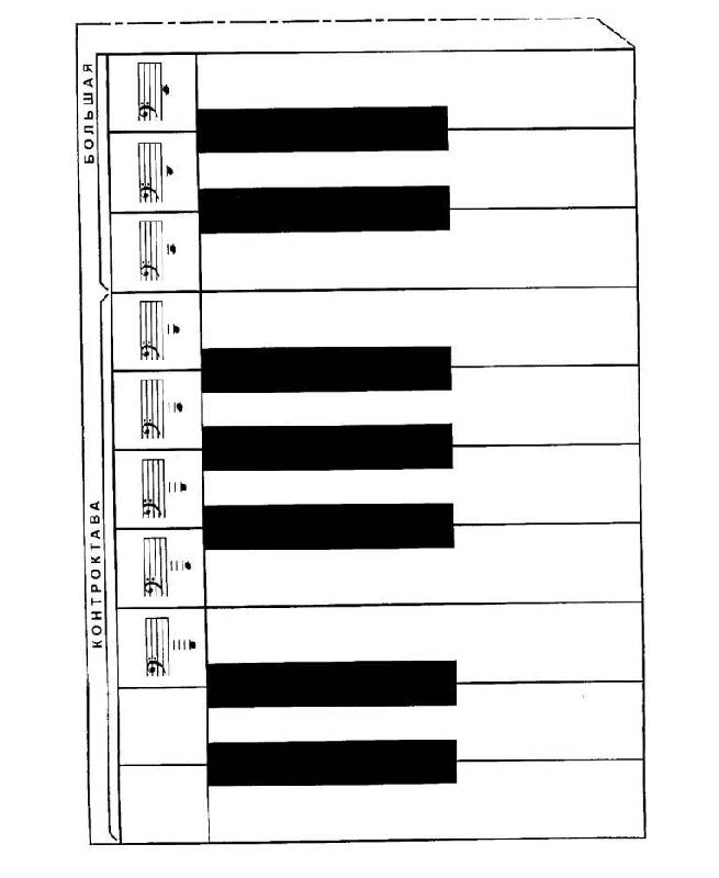 Einführung in die mathematische Behandlung naturwissenschaftlicher Fragen: