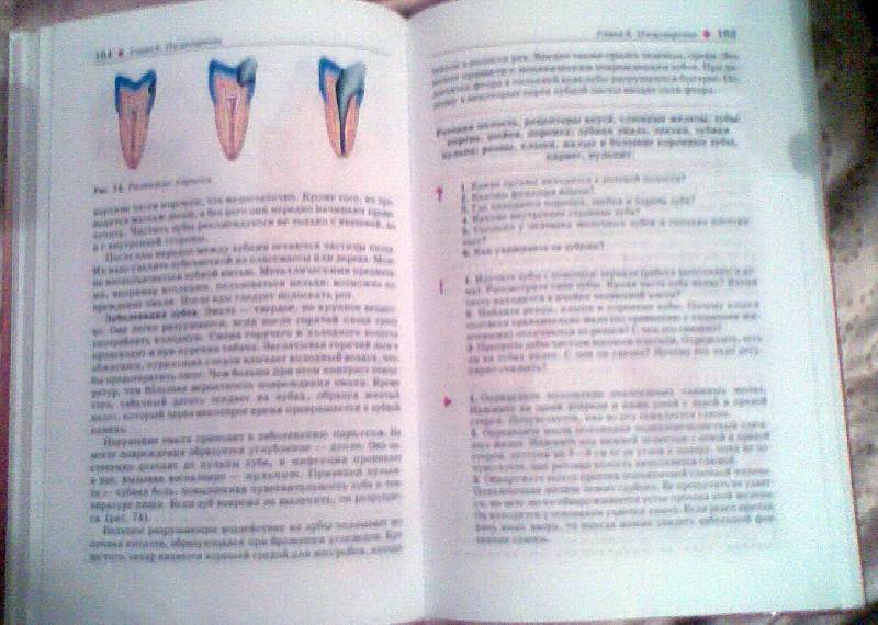 Биология 8 Класс Колесов Маш Беляев Учебник - polytechnical
