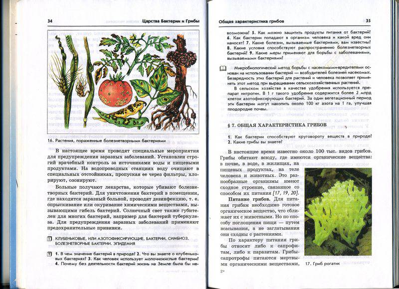Макроэкономика учебник для бакалавров серегина читать онлайн