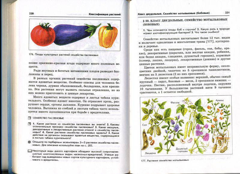 Программа в гостях у сказки 2 класс