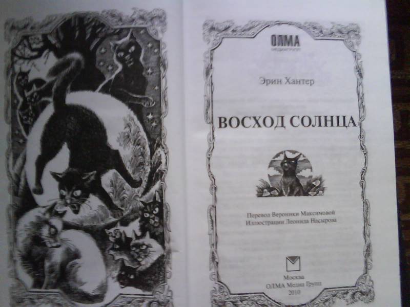 восход солнца скачать коты воители