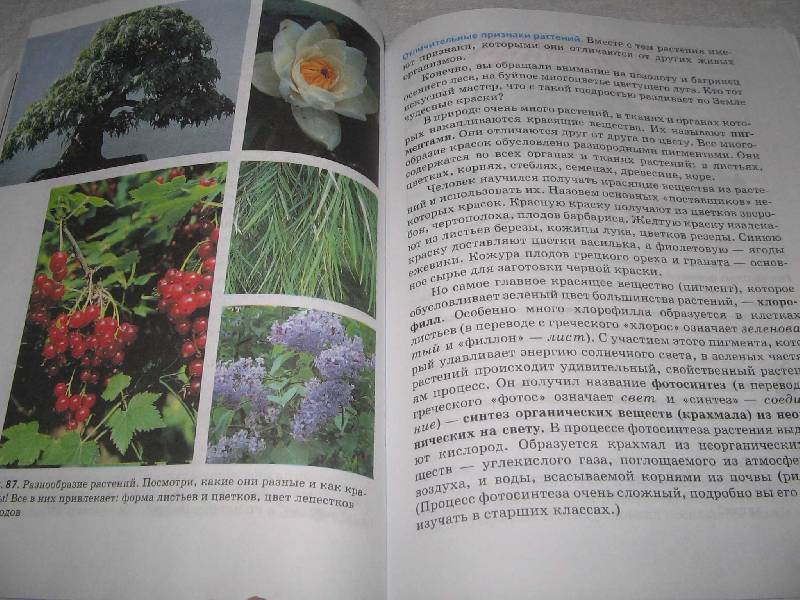Гдз Биология 10-11 Беляев