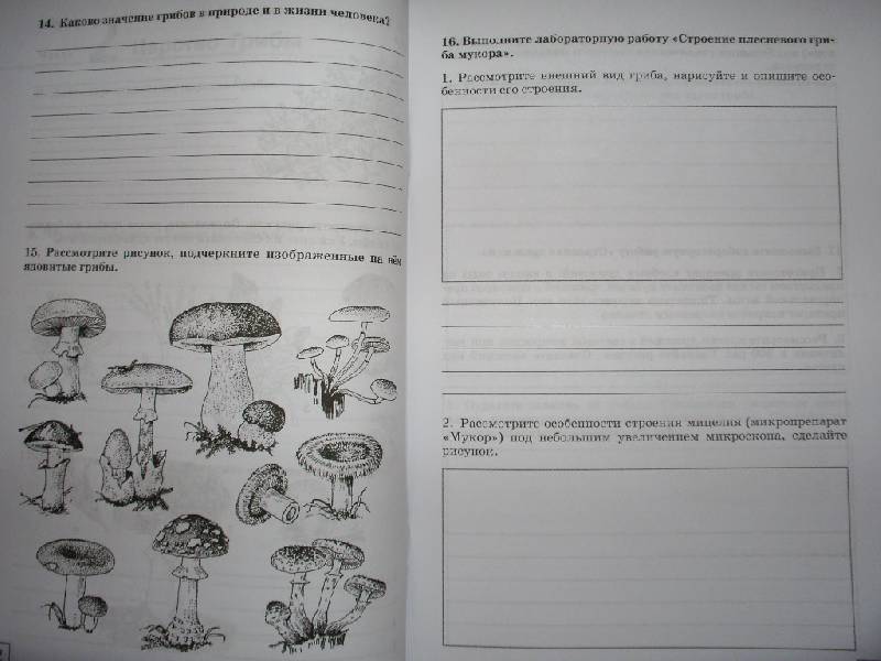 Календарно тематическое планирование по технологии 5 класс фгос девочки