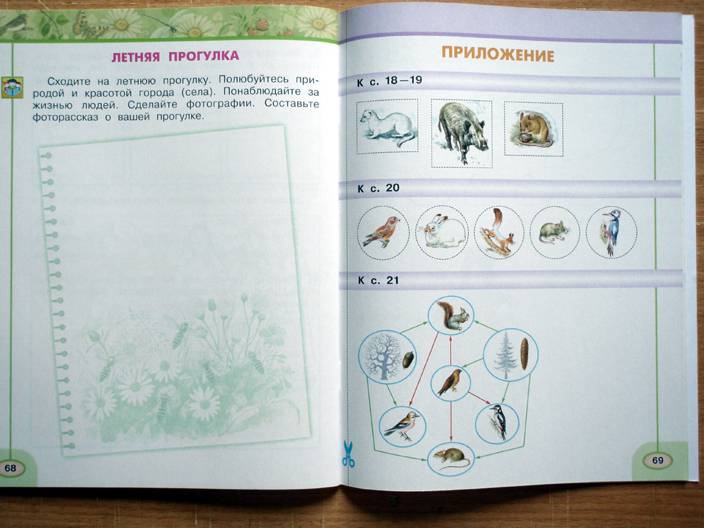 Как сделать окружающий мир рабочая тетрадь плешаков Как сделать окружающий мир рабочая тетрадь плешаков