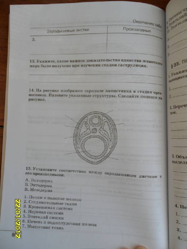 Планирование уроков по фгос в 4 классе в 2014 году