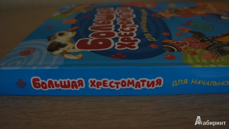 Звездная елена. академия проклятий книга 1 читать