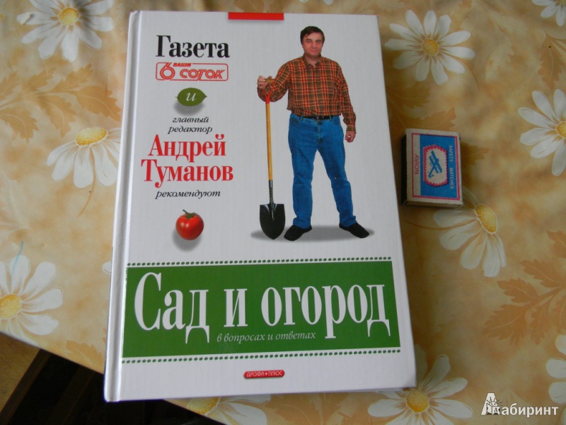 Сад огород туманова Сад огород туманова
