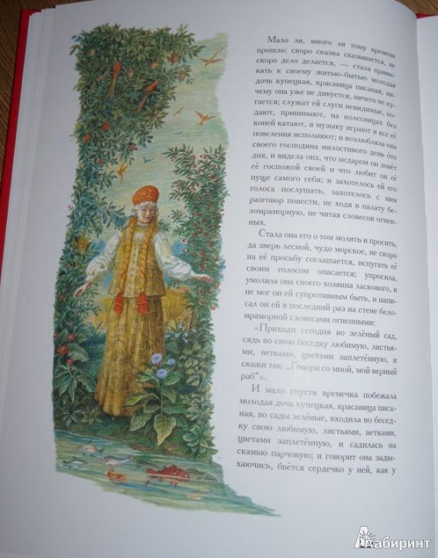 Иллюстрация 5 к книге Аленький цветочек (+CD), фотография