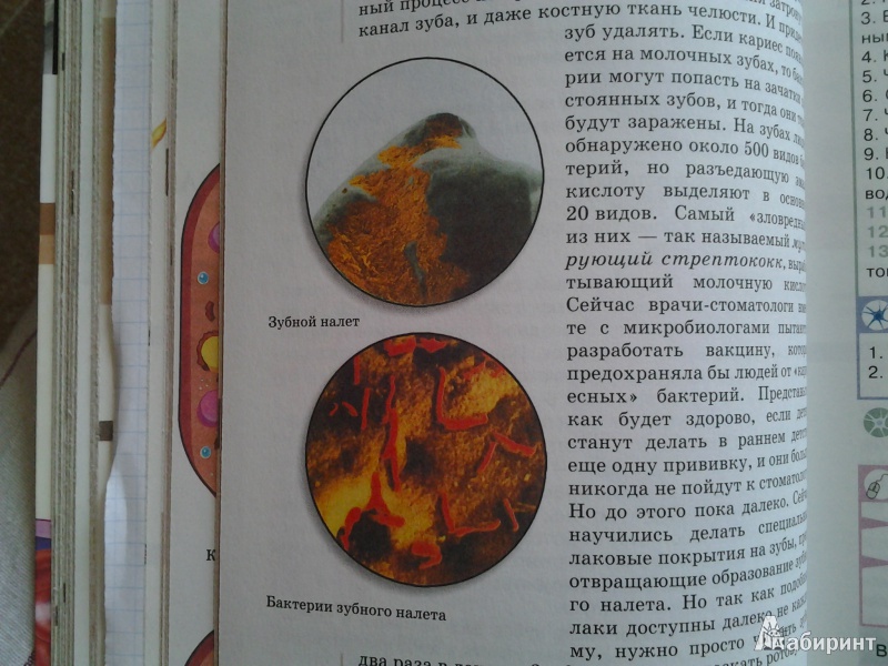 скачать гдз на электронную книгу