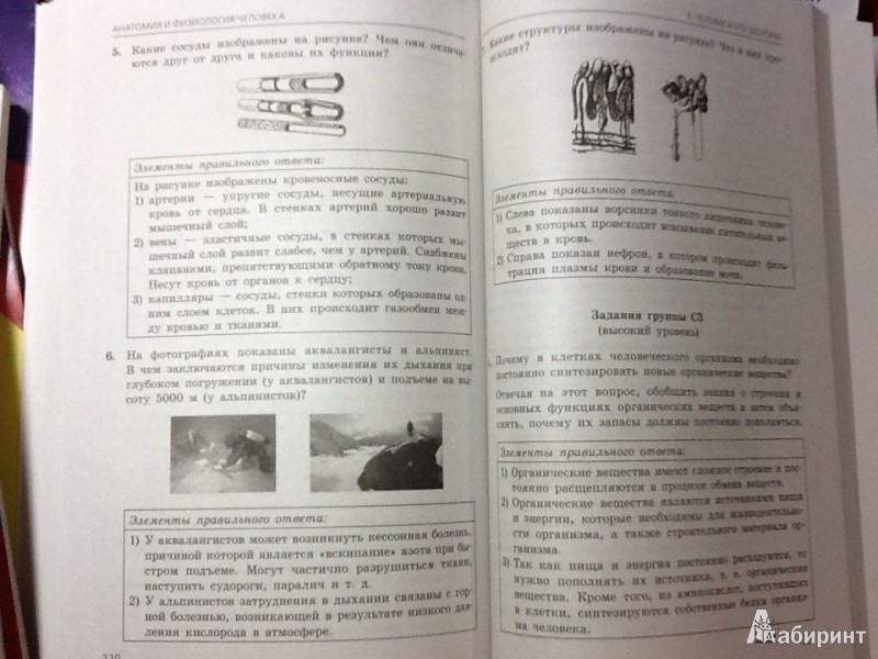 Татар теле 4 класс жамалетдинова решебник фгос