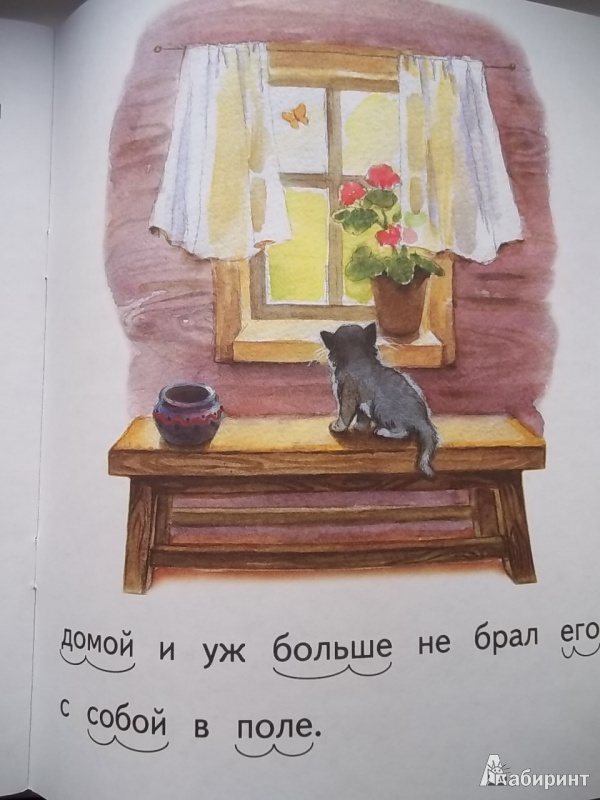 Бесплатно Иллюстрации По Литературе Толстого Котенок