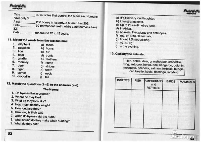 Тренировочные Задания 9 Класс Английский Ответы