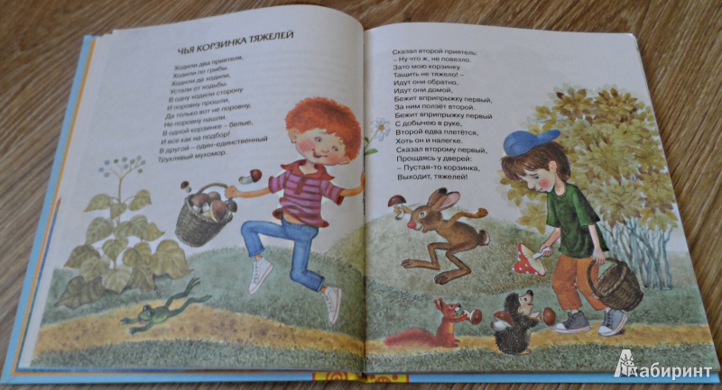Организация
