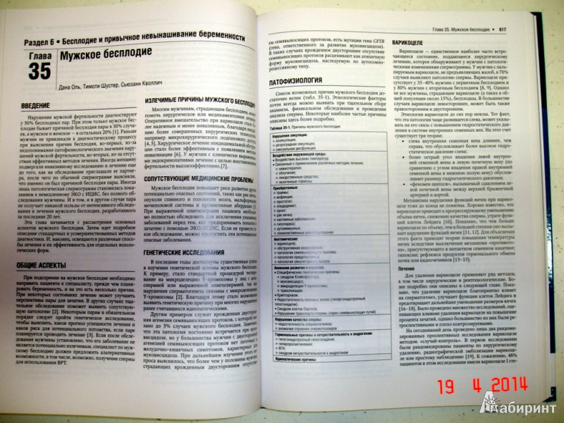 Репродуктивная эндокринология по вильямсу скачать pdf epub