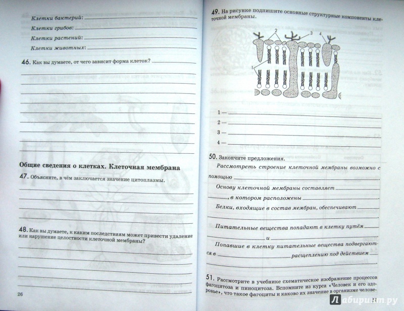 Решебник Для Контрольных Работ По Физике 8 Класс Божинова