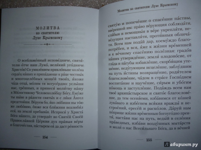 Молитва луки крымского о детях Молитва луки крымского о детях