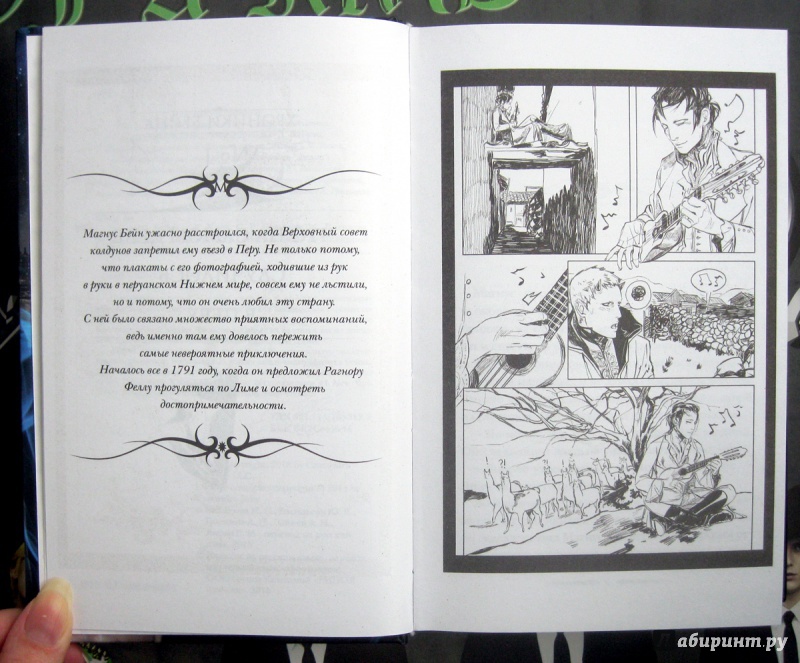 Книга хроники бейна