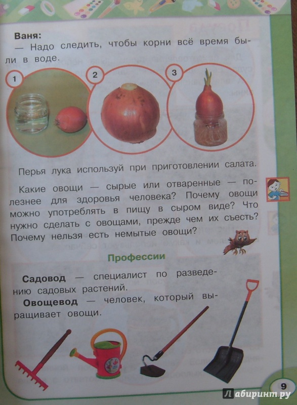 Учебник Технология Роговцевой 3 Класс Скачать Бесплатно - regulationsanti