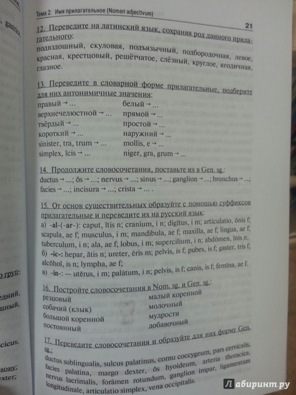 Учебник по латинскому языку чернявский онлайн