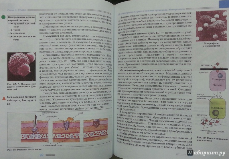 Учебник по биологии 8 класс любимова